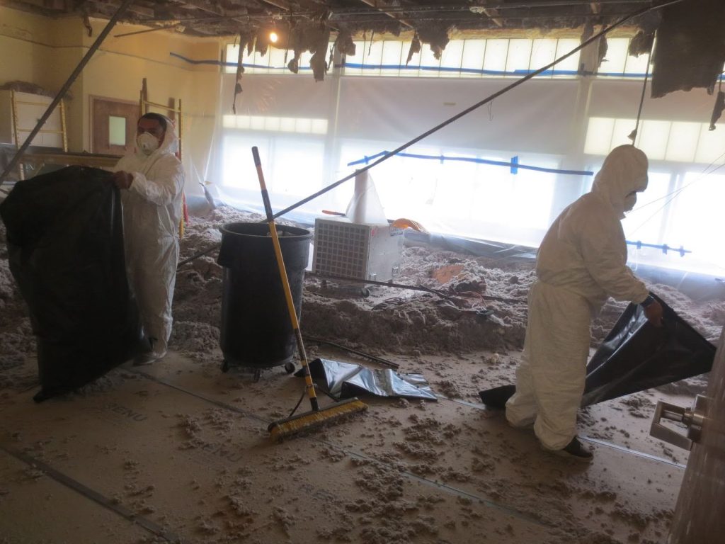 Certified mold removal specialists treating black mold on drywall