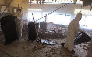Certified mold removal specialists treating black mold on drywall